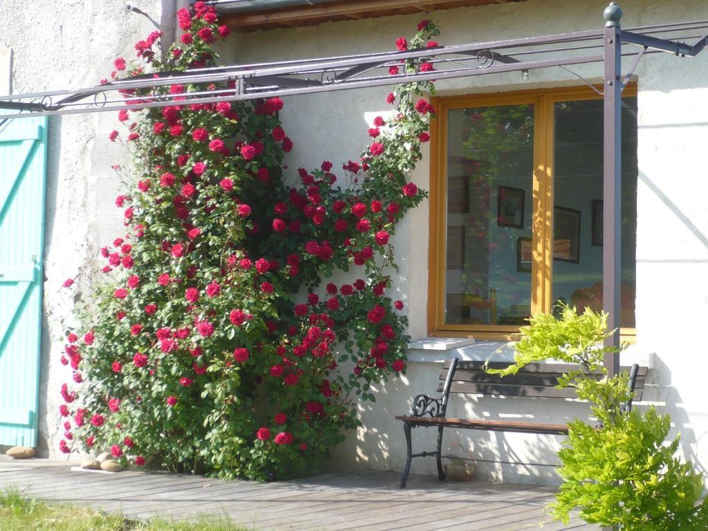 Les Garennes Hotel Saint-Uze Exterior foto